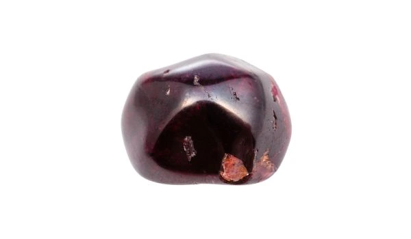 granato scorpione