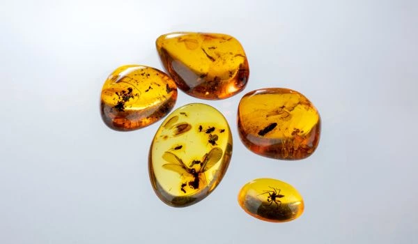copale ambra inclusioni